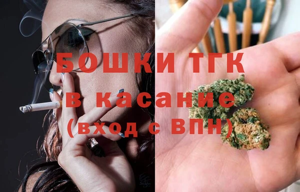 сатива Алзамай