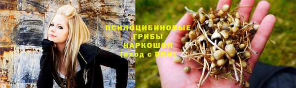 сатива Алзамай