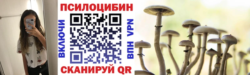 Псилоцибиновые грибы мицелий  kraken как зайти  Пролетарск  хочу  